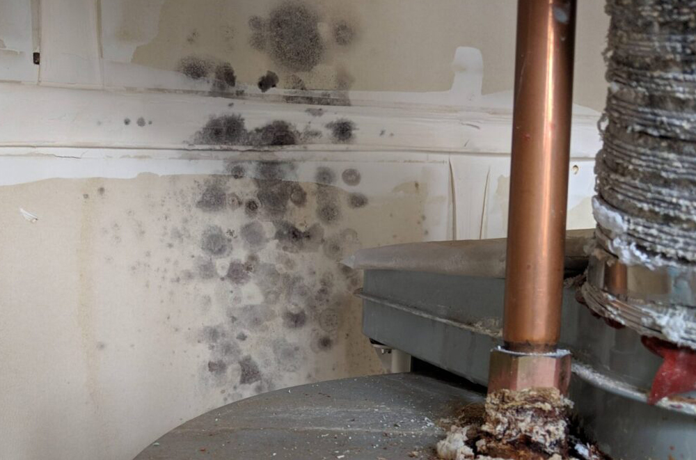 wall mold from water heater